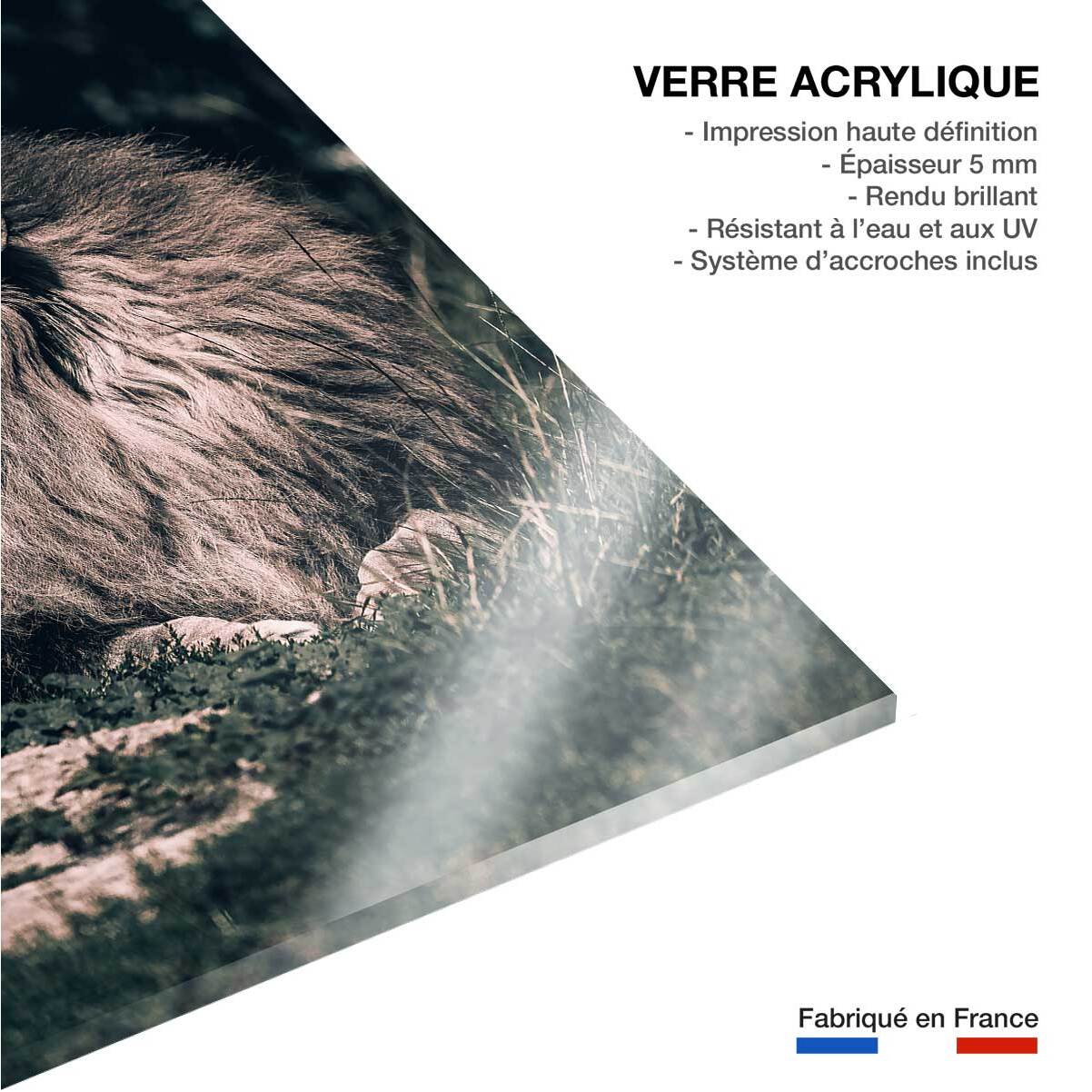 Tableau lion mon roi Tableau plexiglas