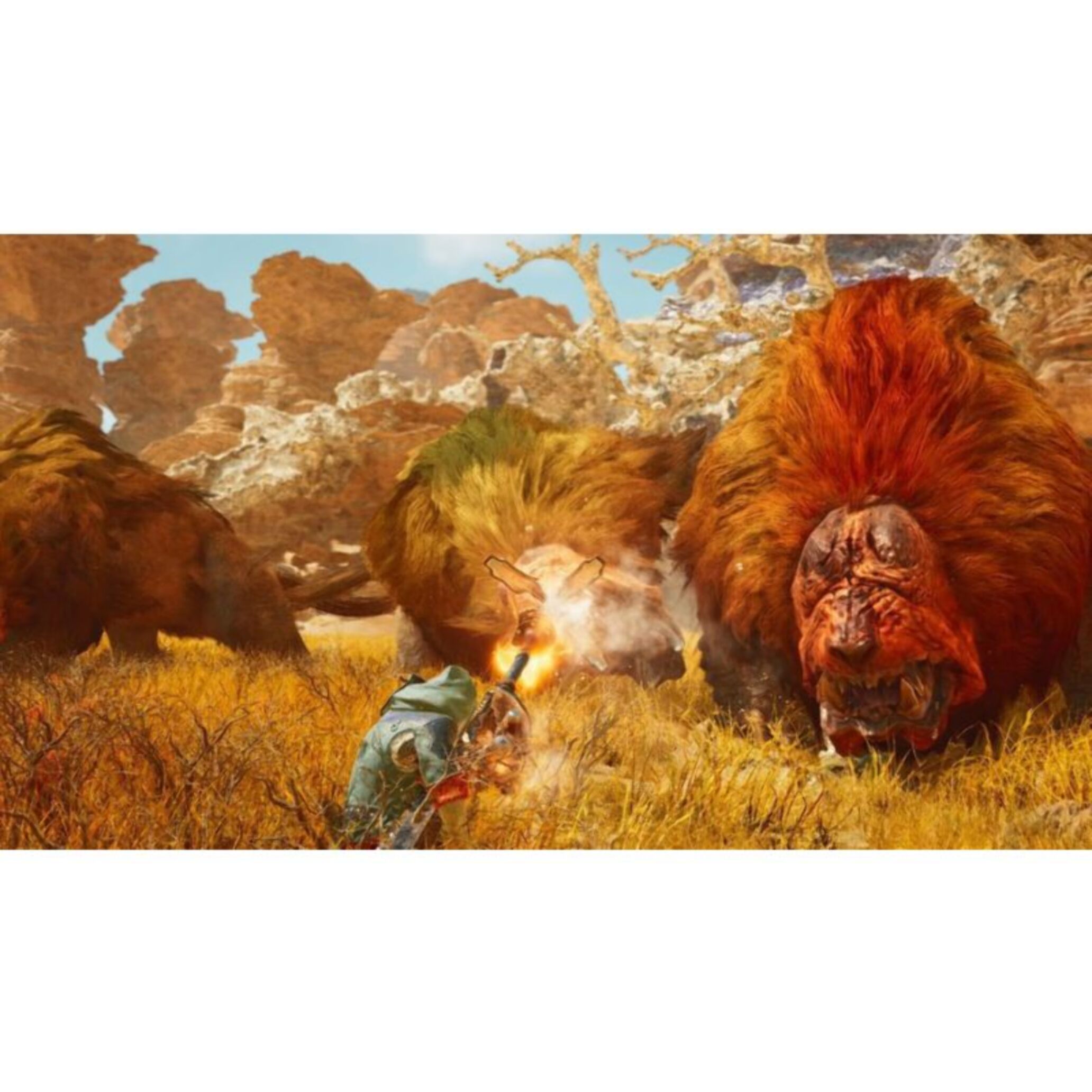 Jeu PS5 PLAION MONSTER HUNTER WILDS