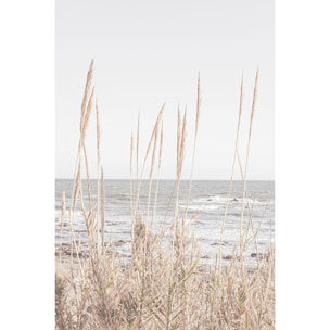 Tableau épis au bord de l'eau Tableau alu Dibond