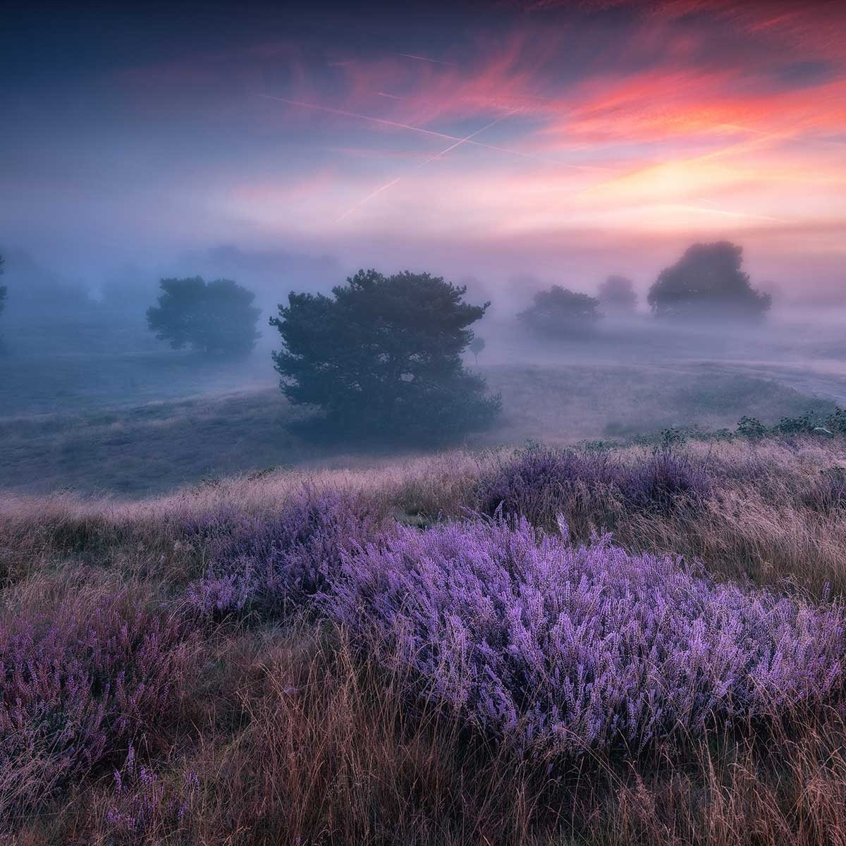 Tableau couleur chaude Tableau plexiglas