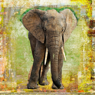 Tableau contemporain deco elephant Toile imprimée