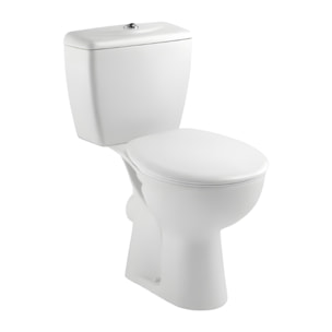 WC à poser sortie horizontale Eolia avec abattant