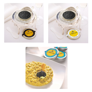 Caviar Prestige : Trio Oscietre, Baeri & White Esturgeon - 3x100g - Italie - Cavalier