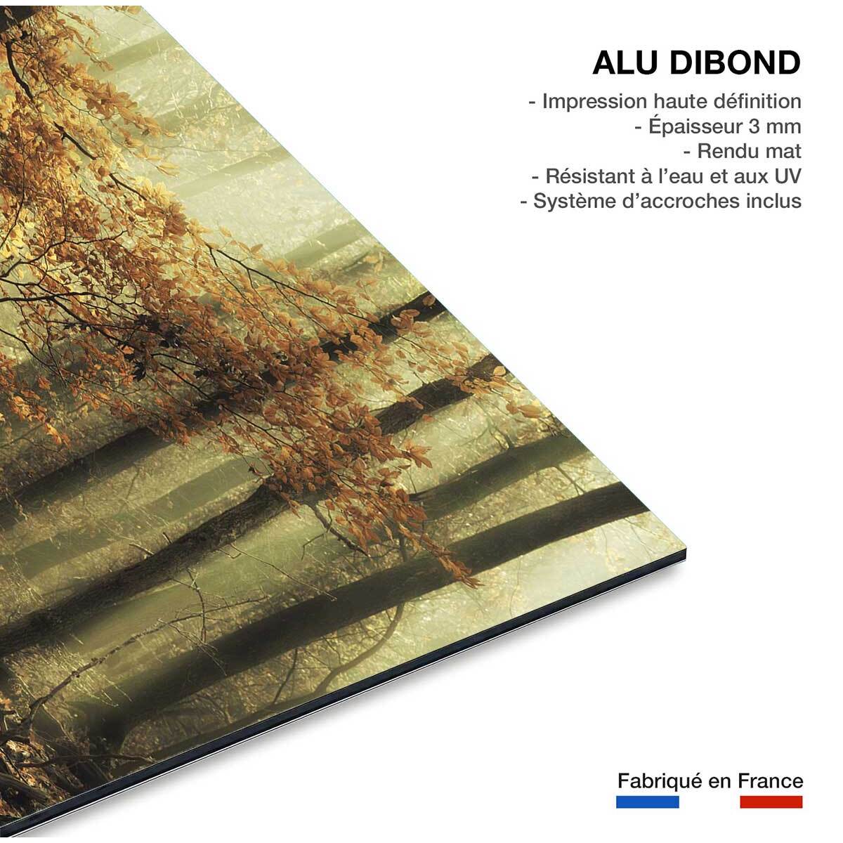 Tableau Feuilles d'automne Tableau alu Dibond