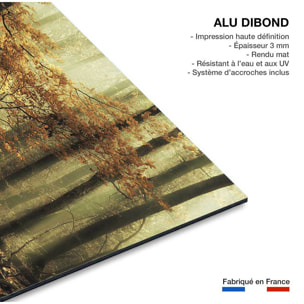 Tableau Feuilles d'automne Tableau alu Dibond