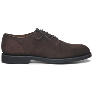 Scarpe allacciate Sebago Uomo Marrone WINTHROP SUEDE