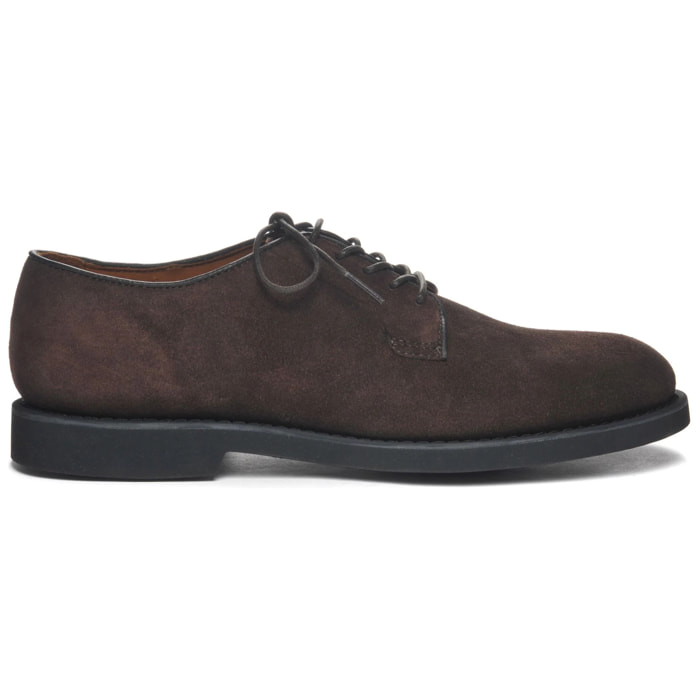 Scarpe allacciate Sebago Uomo Marrone WINTHROP SUEDE