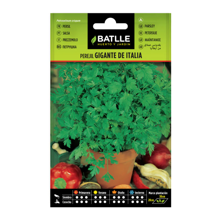 Semillas de Perejil gigante de Italia  Batlle
