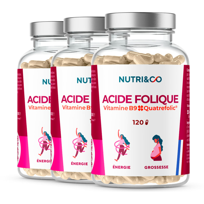 Acide Folique Vit B9 - 120 gélules - Lot de 3