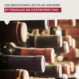 Tire-bouchon à feuille Fackelmann Bar Concept