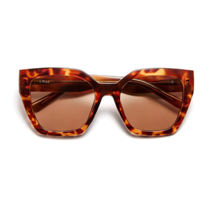 Gafas De Sol D. Franklin Rizz Tort /Brown