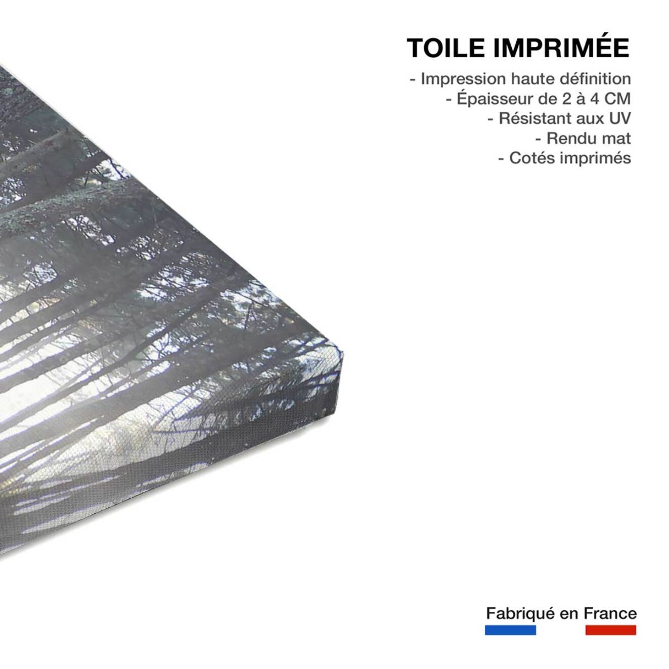 Tableau brume landaise Toile imprimée