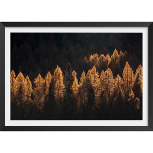 Affiche mélèzes d' automne Affiche + cadre en bois - Noir