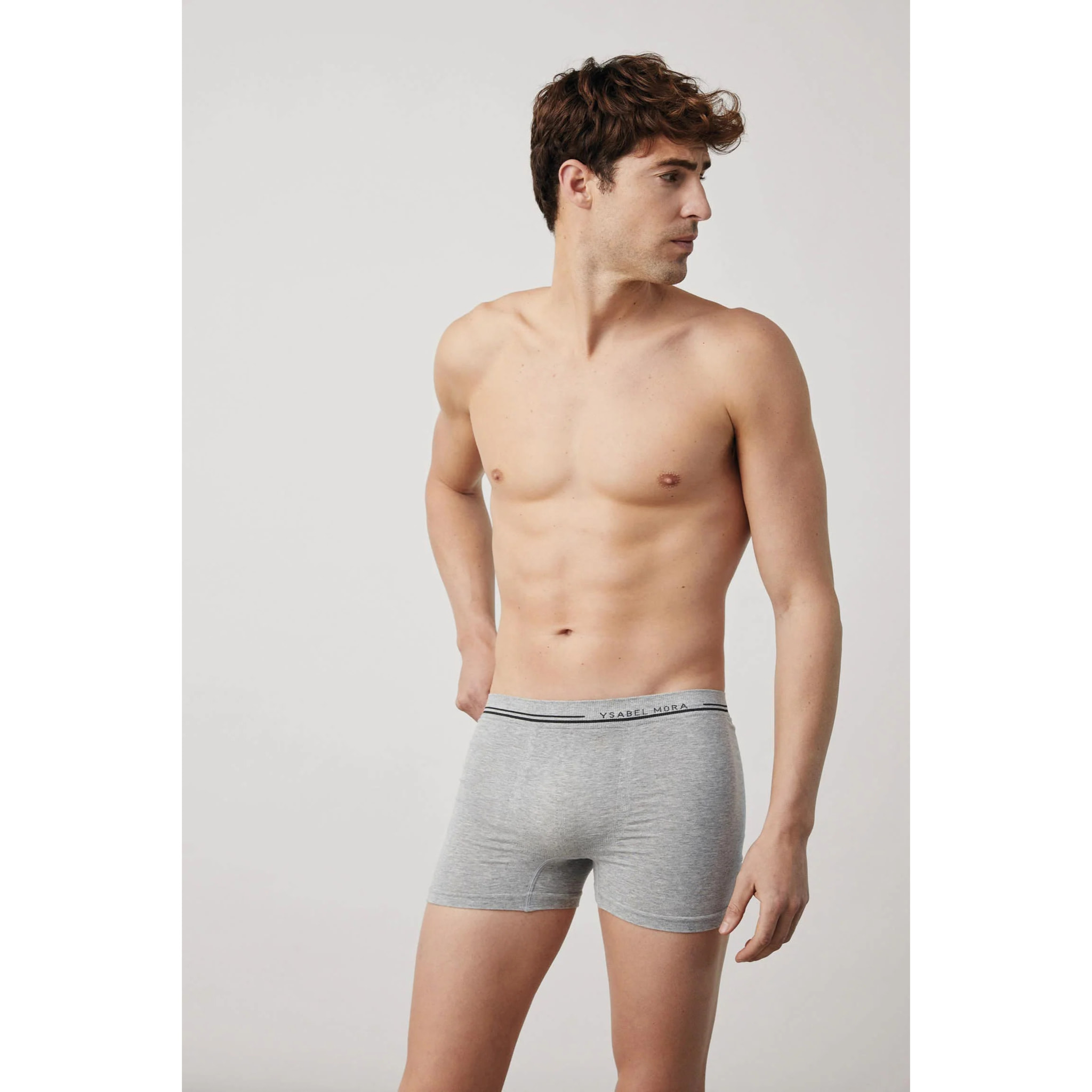 Boxer grigi