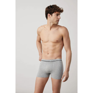 Boxer grigi