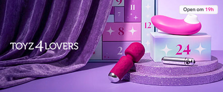Toyz4Lovers