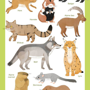 Affiche enfant animaux d'europe  Affiche + cadre en bois - Noir