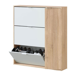 Zapatero Eris 4 Puertas Blanco Artik (Blanco Mate) - Roble Canadian