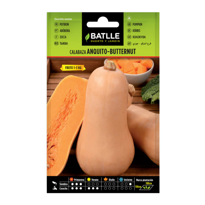 Semillas de Calabaza Anquito-Butternut Batlle