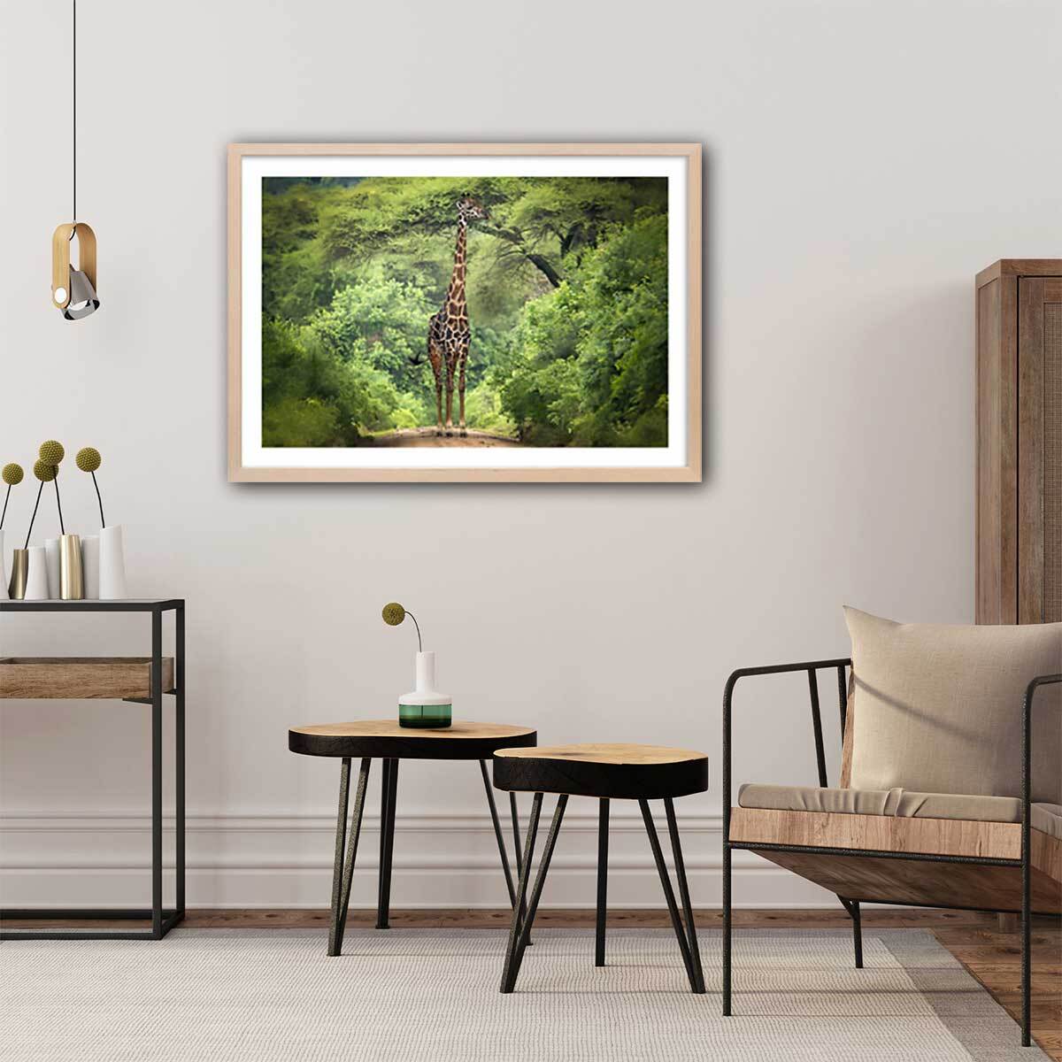 Affiche Girafe inattendue Affiche + cadre en bois - Chêne