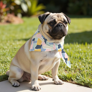 Pack de 2 bandanas pour animaux 0120-141