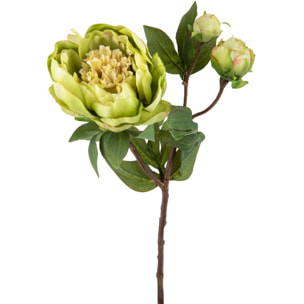 Peonia Romance Con 3 Fiori. Altezza 49 Cm - Pezzi 6 - 19X49X9cm - Colore: Verde - Bianchi Dino - Fiori Artificiali