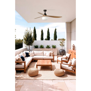 OUTWOOD L Ventilador de techo marrón/madera roble IP44 1X27