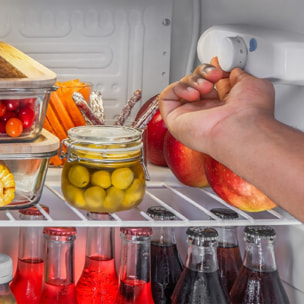 Cecotec Mini-réfrigérateur GrandCooler 20000 L SilentCompress Inox E