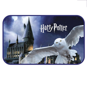 Harry Potter Hedwig Tappeto Warner Bros.