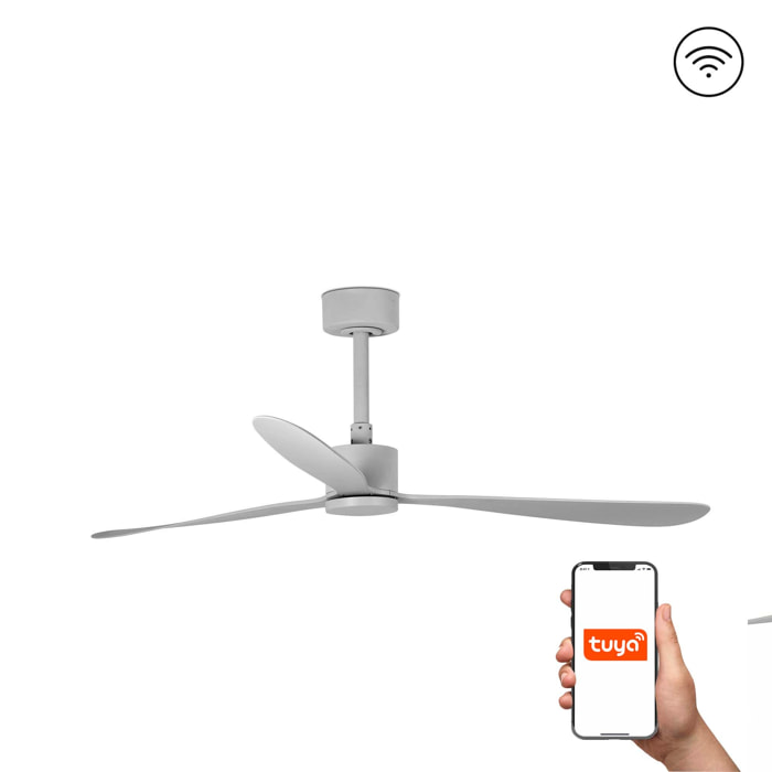 AMELIA L Ventilateur de plafond gris TUYA
