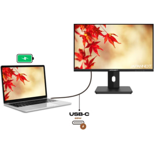 Ecran PC JAPANNEXT JN-i215FLFHSP 21,5" IPS Full HD 75Hz  HDMI - USB-C 65W KVM