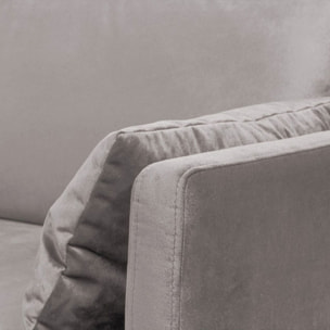 Canapé Velours Droit Splendido - 2 Places