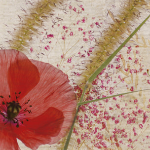 Papier peint panoramique Manosque - Apportez une touche florale à votre intérieur ! Cliquez ici pour en savoir plus.