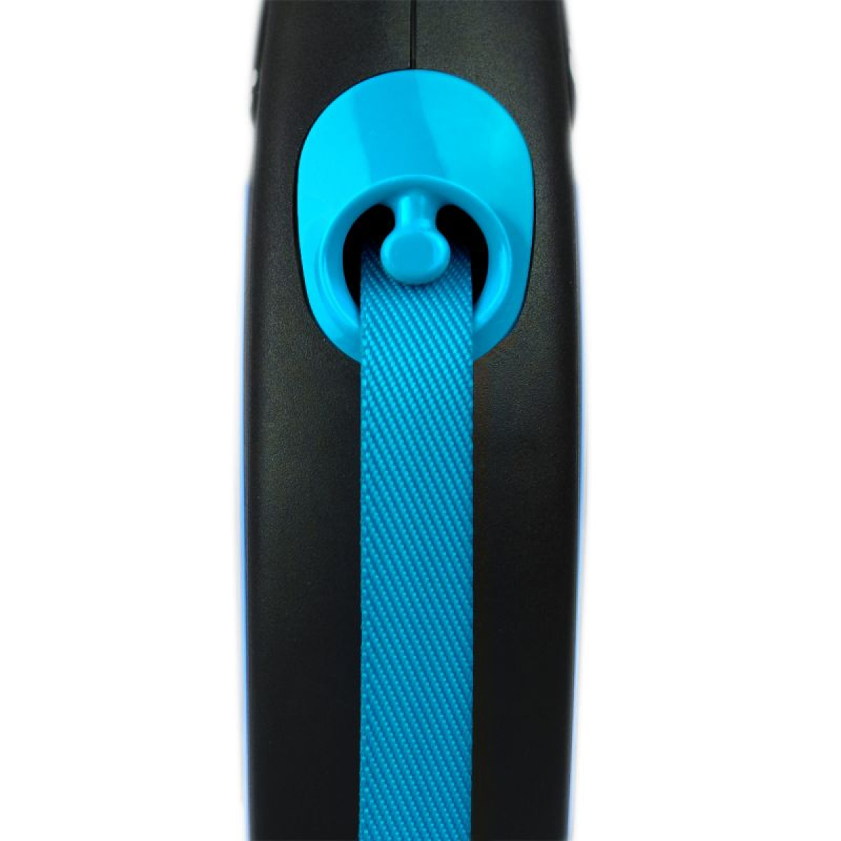 Laisse New Neon M Tape 5 m black/ neon blue Flexi CL21T5-251-S-NEOBL