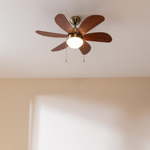 Ventilateurs de plafond EnergySilence Aero 360 Gold&Wood Cecotec