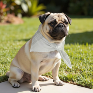 Pack de 2 bandanas pour animaux Lluc VerT