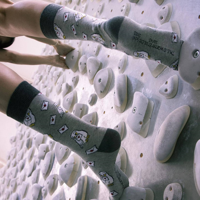Calcetines diseño harry potter gris
