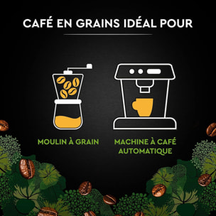 Café Grains BIO 1KG