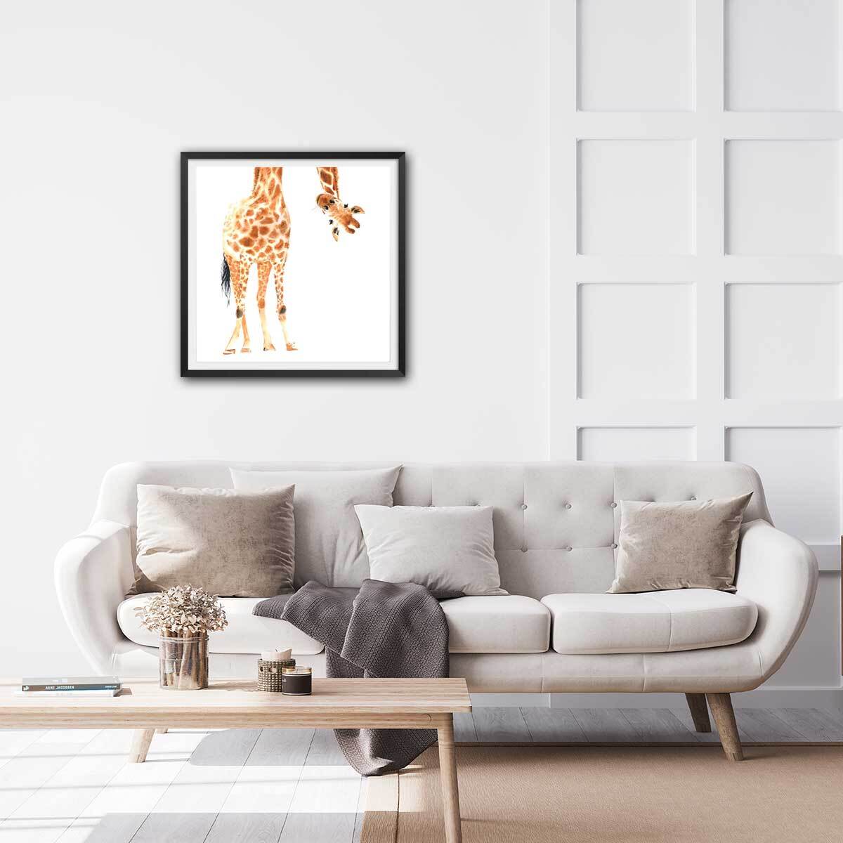 Affiche dessin coucou de girafe Affiche + cadre en bois - Noir