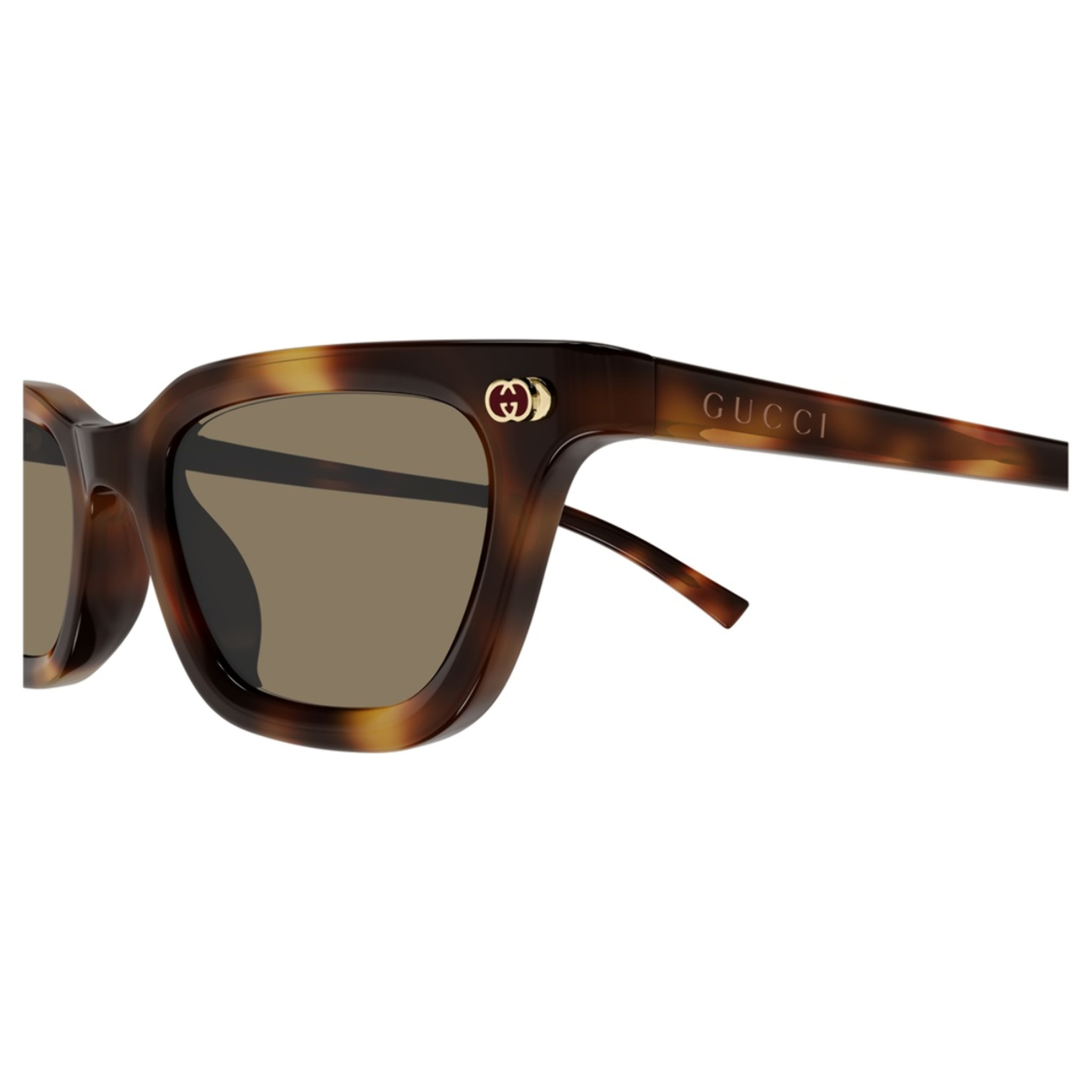Gafas de Sol Gucci GG1944S-006 Fotocromáticas de Acetato Mujer 50 mm