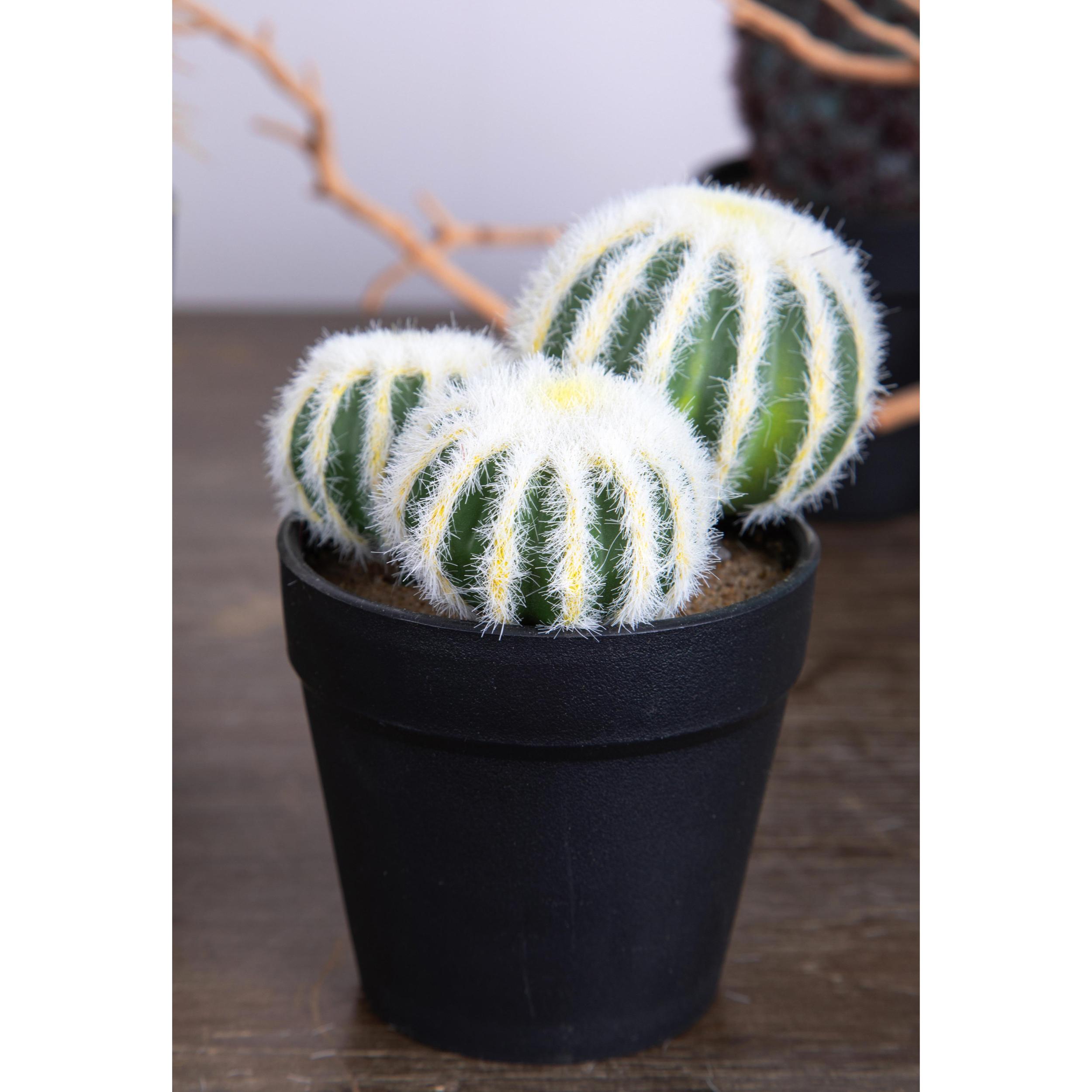 Cactus X 3 Con Vaso. Altezza 12 Cm - Pezzi 6 - 9X12X9cm - Colore: Verde - Bianchi Dino - Piante Artificiali