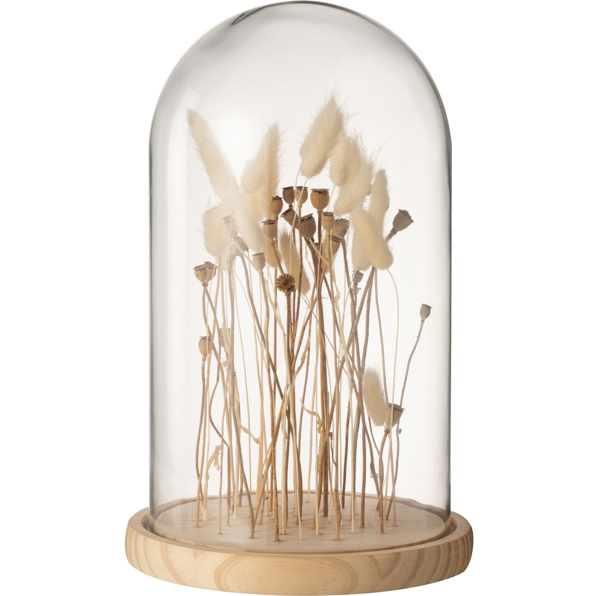 J-Line décoration Cloche Fleurs Sechées - verre/bois - ecru/brun - large