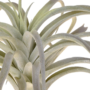 Tillandsia Con 32 Foglie. Altezza 27 Cm - Pezzi 3 - 28X27X28cm - Colore: Grigio - Bianchi Dino - Piante Artificiali