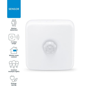 Détecteur de mouvement WIZ Wireless Sensor w/batteries