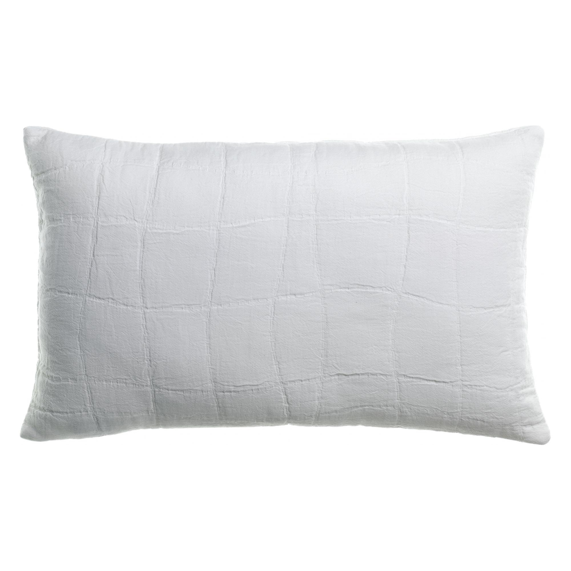 Coussin recyclé Titou