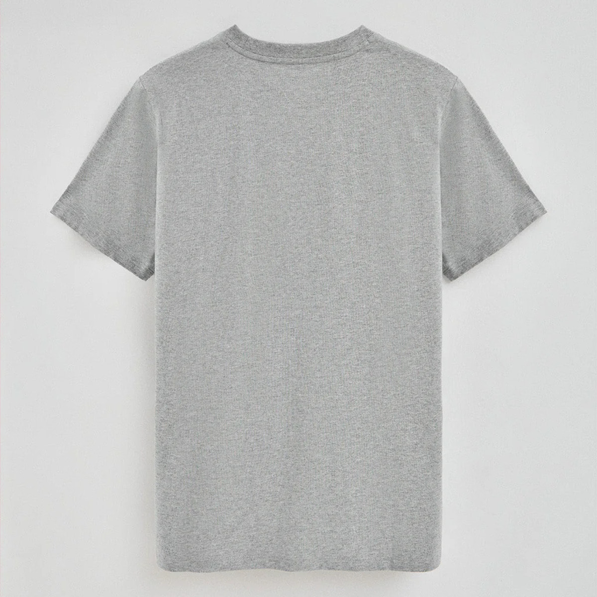 Camiseta gris vigoré con cuello redondo y bordado Rigby Go