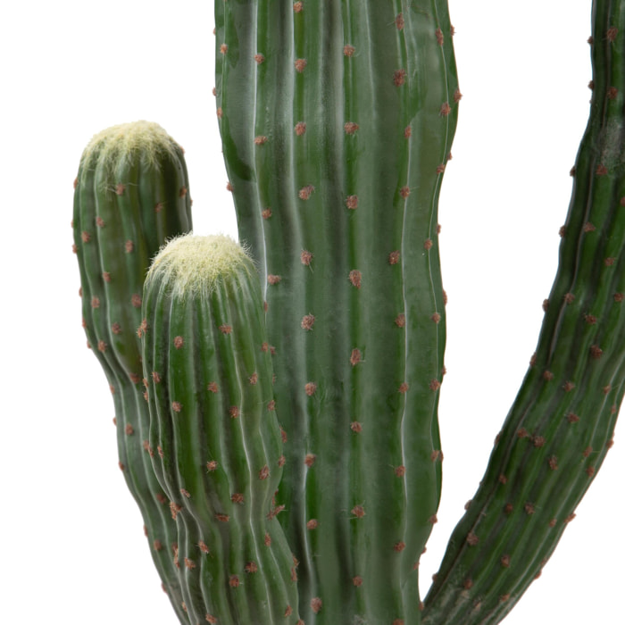 Cactus cerfus - Pezzi 1 - Colore: Verde - Bianchi Dino