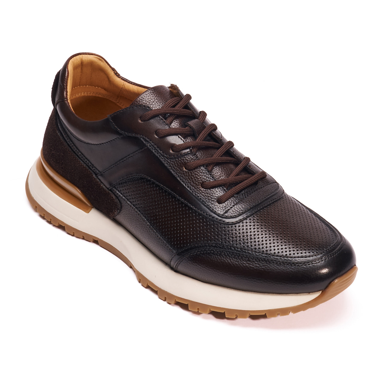 Sneaker British Passport Testa di moro