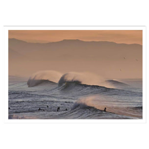 Affiche photo plage hossegor mouettes au pic Affiche seule