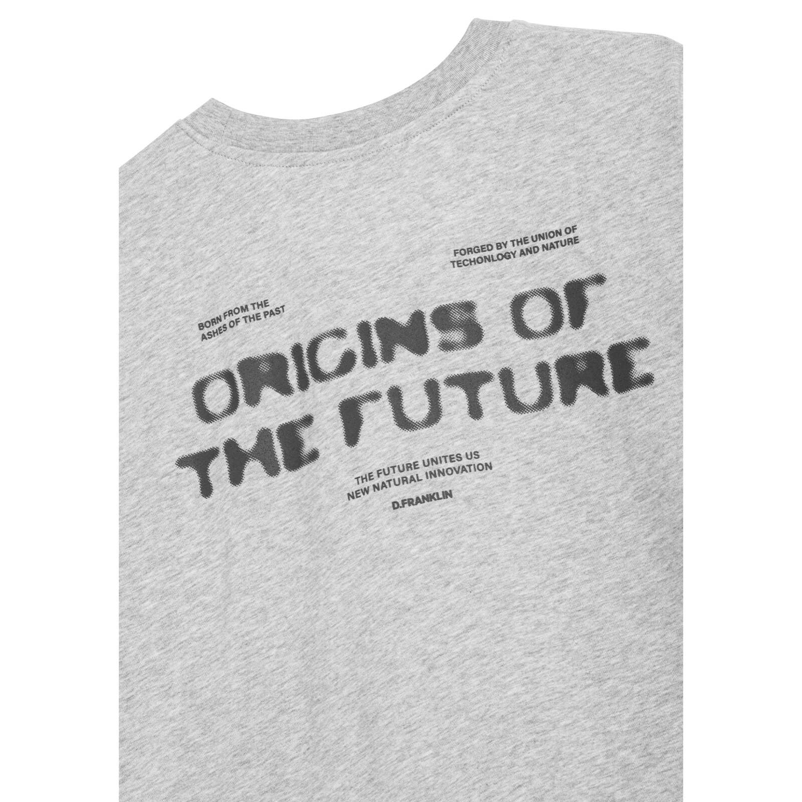 Camiseta Origins D.Franklin Gris